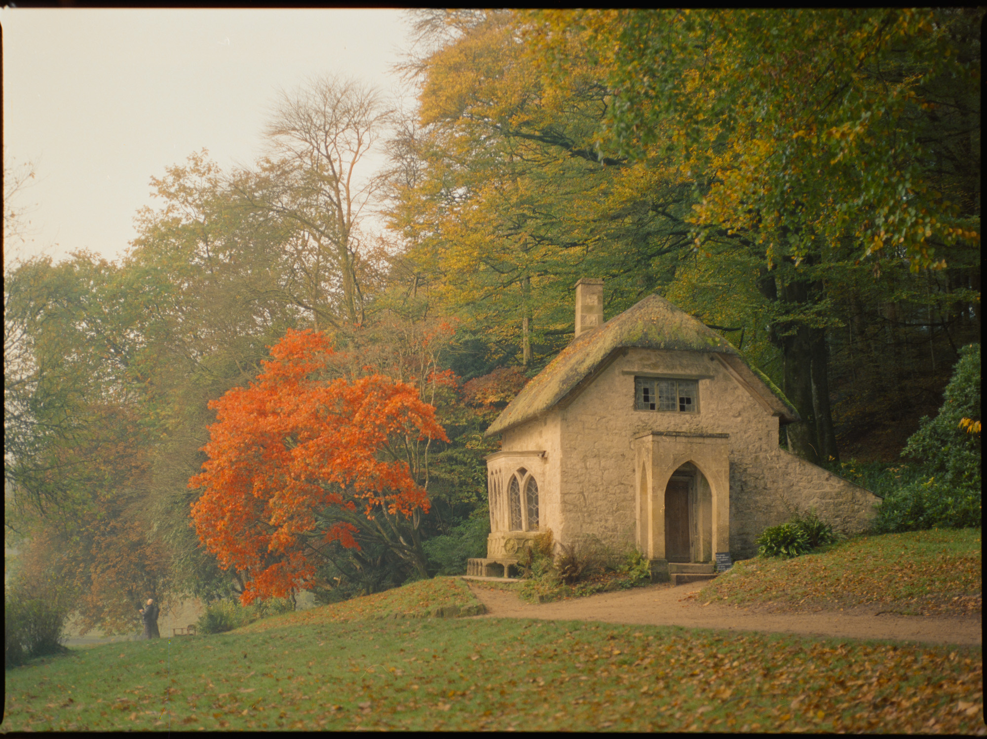 Thatched gothic cottage at Stourhead with a vivid red maple in autumn — Cinestill 800 on Mamiya 645 medium format film