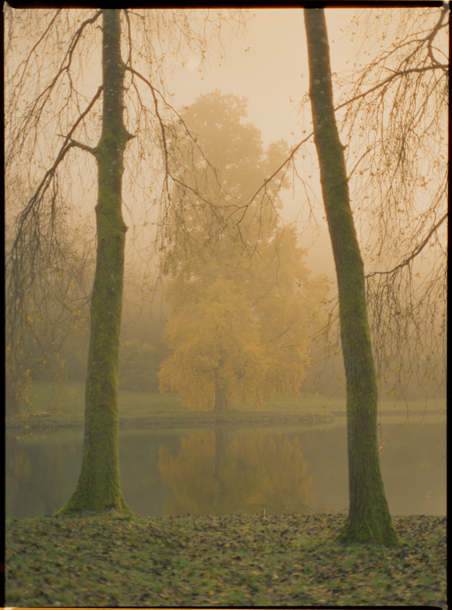 Stourhead Pantheon temple across the lake at dawn — misty atmospheric mood on Cinestill 800 medium format film