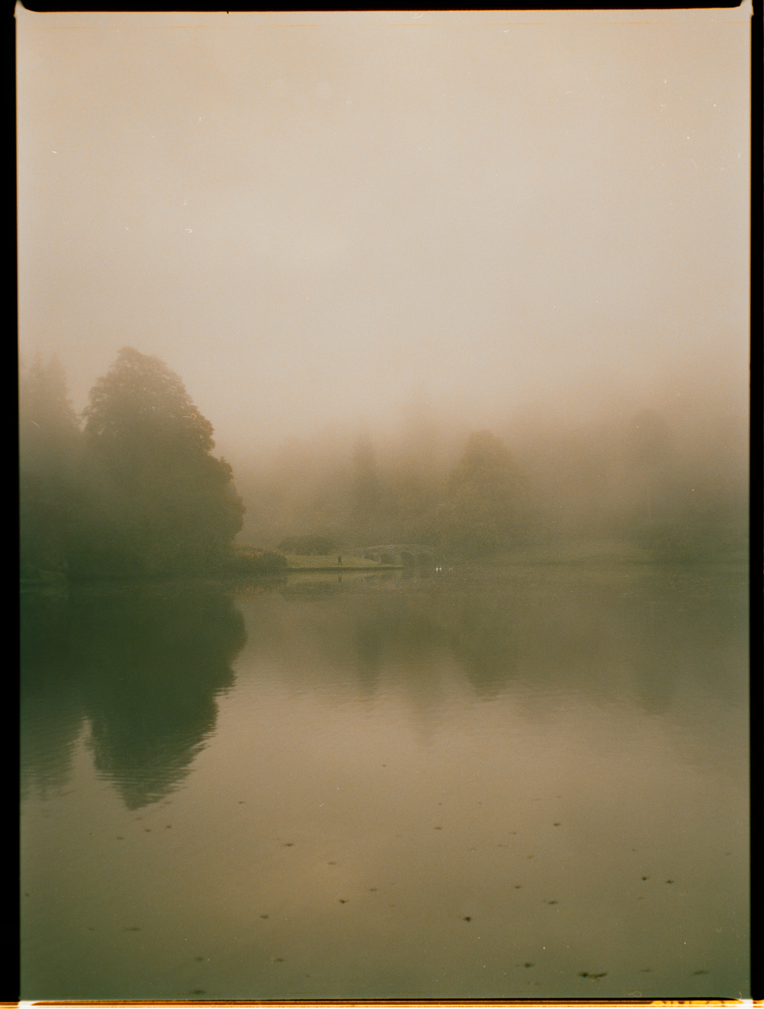 Stourhead at dawn with mist on the lake — atmospheric landscape on Cinestill 800 medium format film