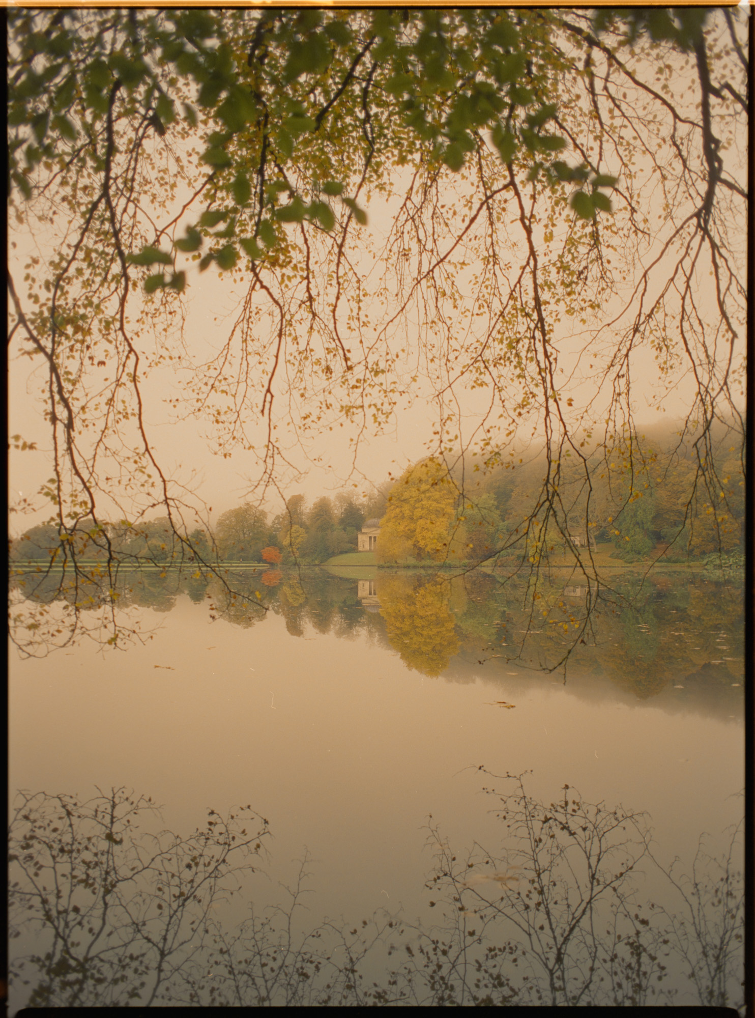 Still morning landscape at Stourhead — atmospheric Cinestill 800 photography on Mamiya 645