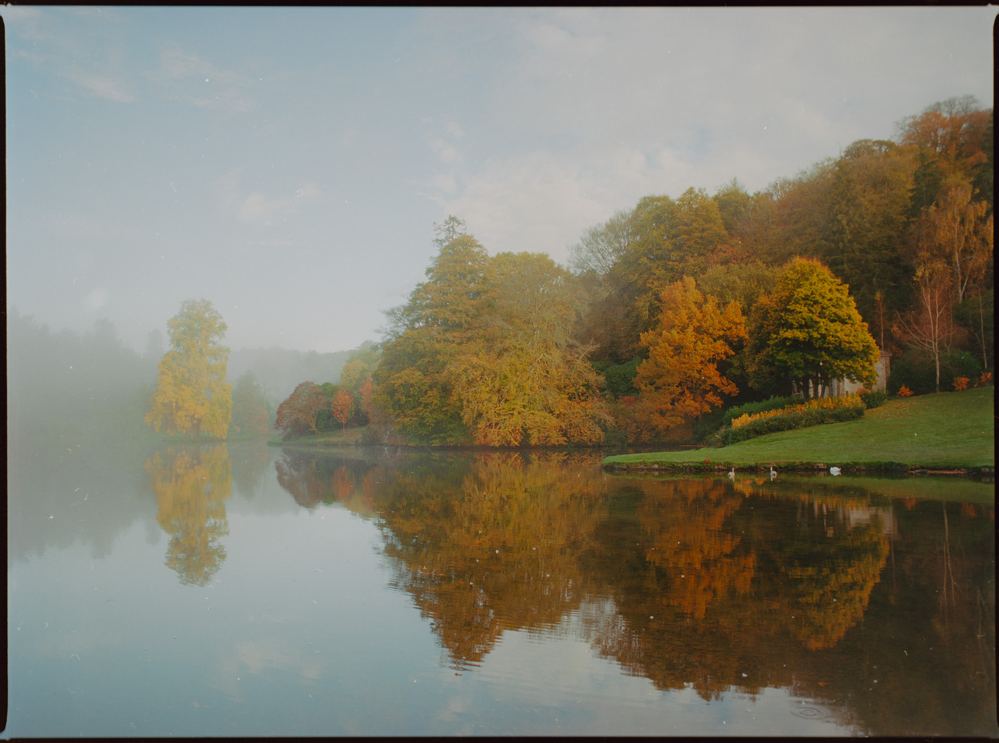 Stourhead landscape garden at sunrise in autumn — misty lake with swans and turning trees reflected on still water, Kodak Ektar 100 on Mamiya 645