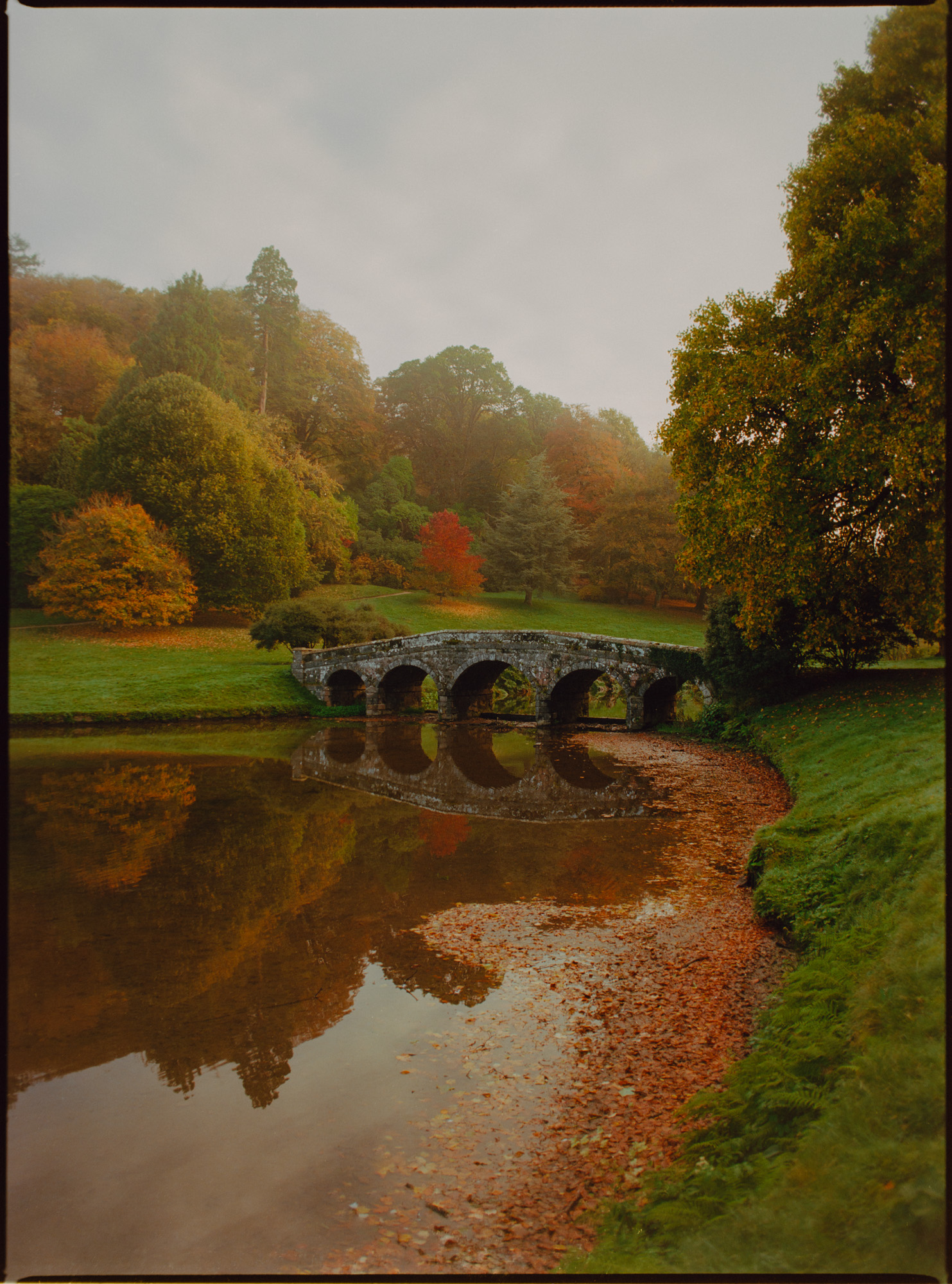 Stourhead Palladian five-arch bridge reflected in the lake at dawn, surrounded by autumn colour — shot on Kodak Ektar 100 and a Mamiya 645 medium format film camera by London photographer David McConaghy