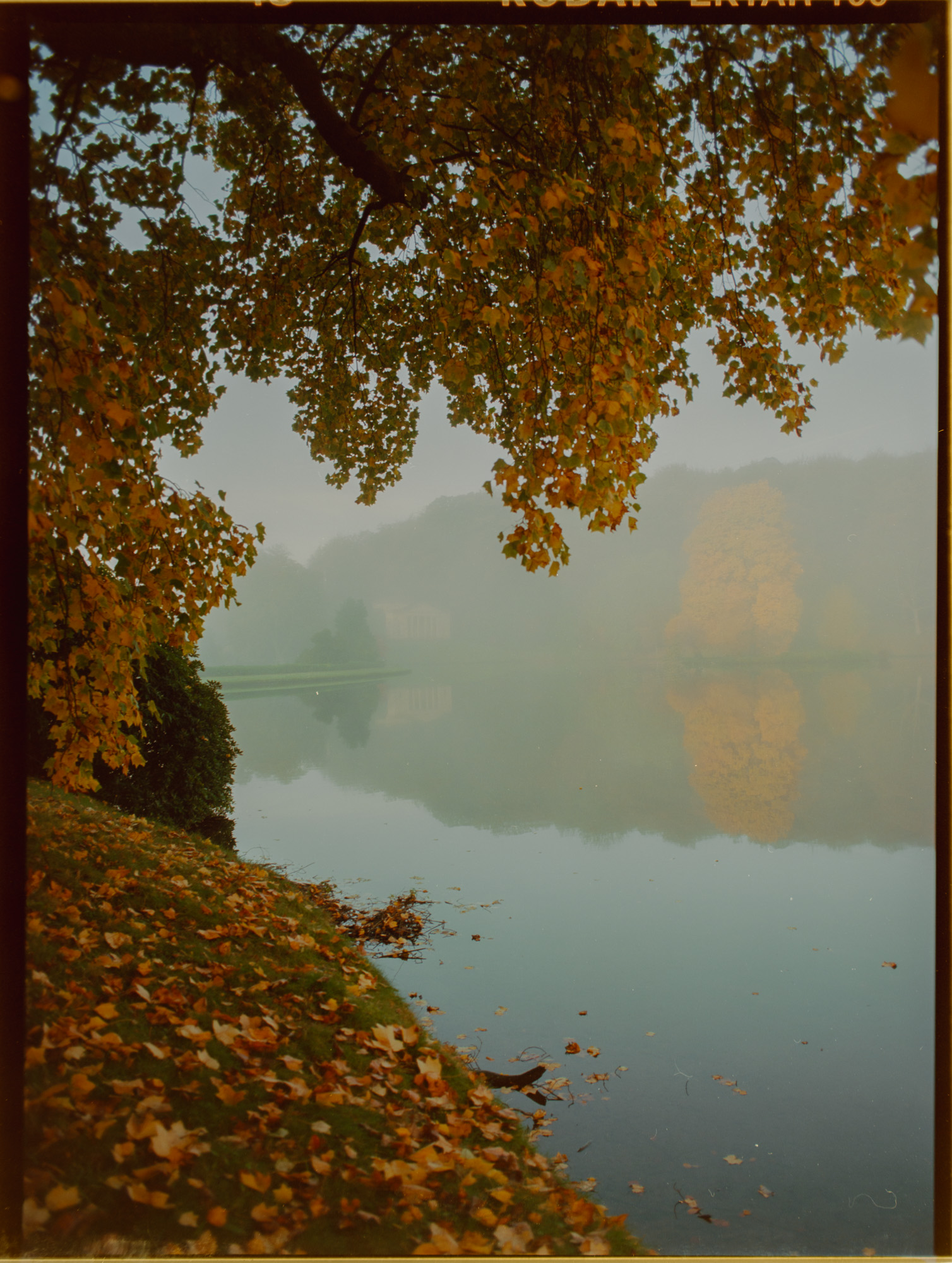 Autumn colours at Stourhead landscape garden Wiltshire — Kodak Ektar 100 on Mamiya 645 medium format film