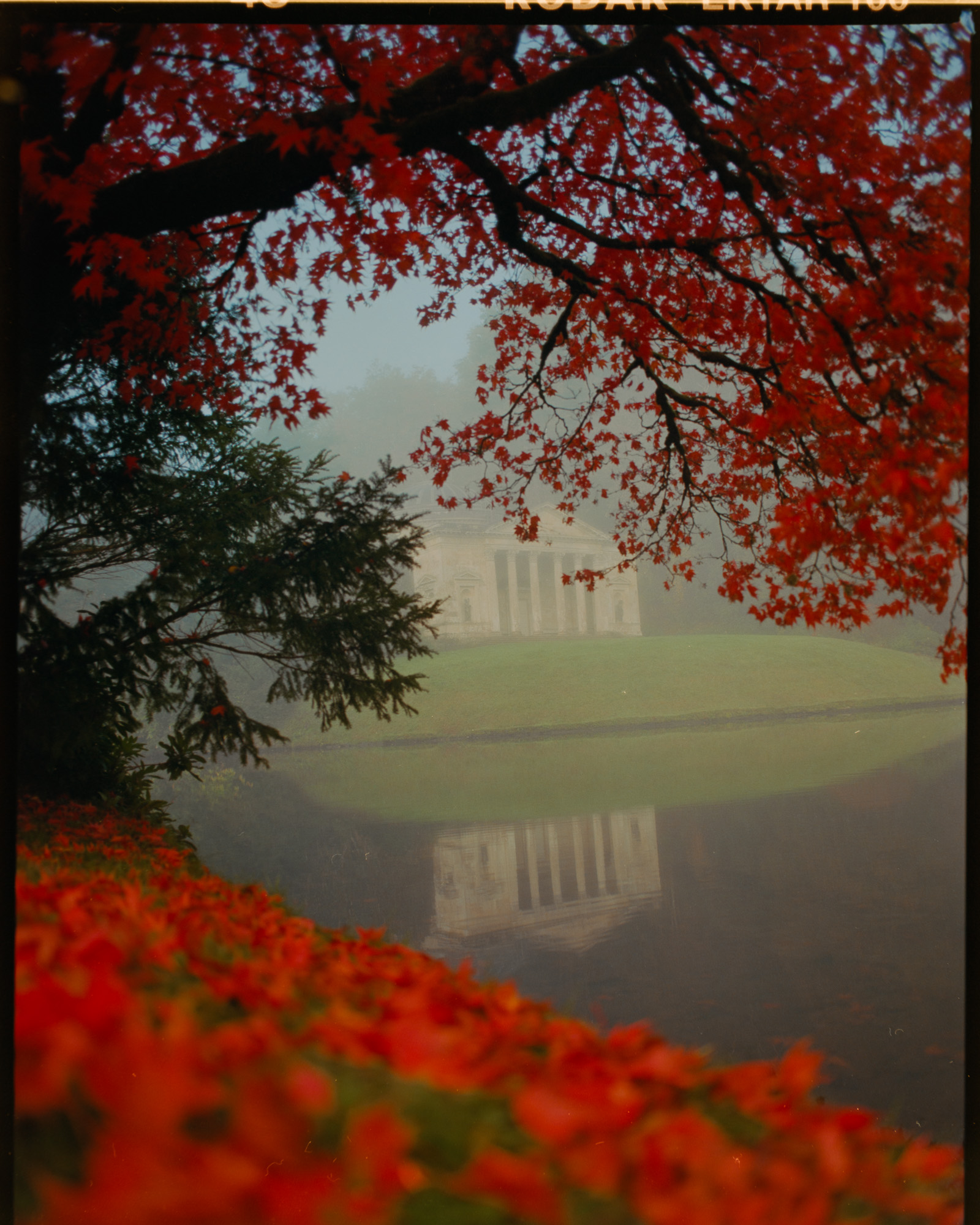 Golden autumn trees across the Stourhead lake — Mamiya 645 Kodak Ektar 100