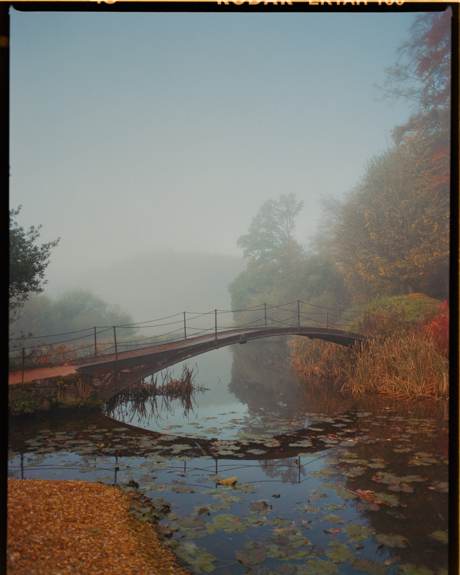 Autumn landscape at Stourhead Wiltshire with early morning sun — fine art film photography by David McConaghy