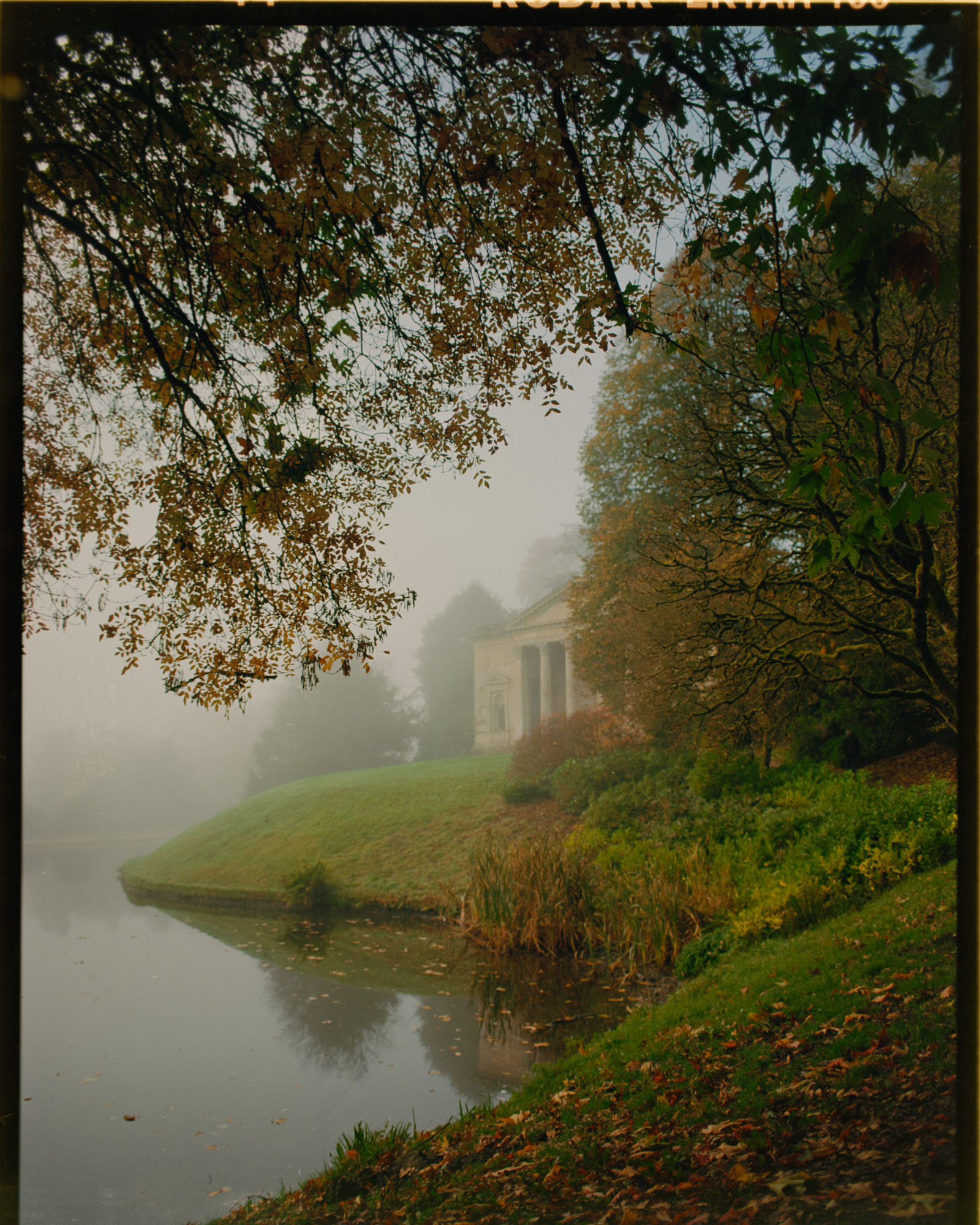 Stourhead gardens autumn detail — Kodak Ektar 100 medium format film