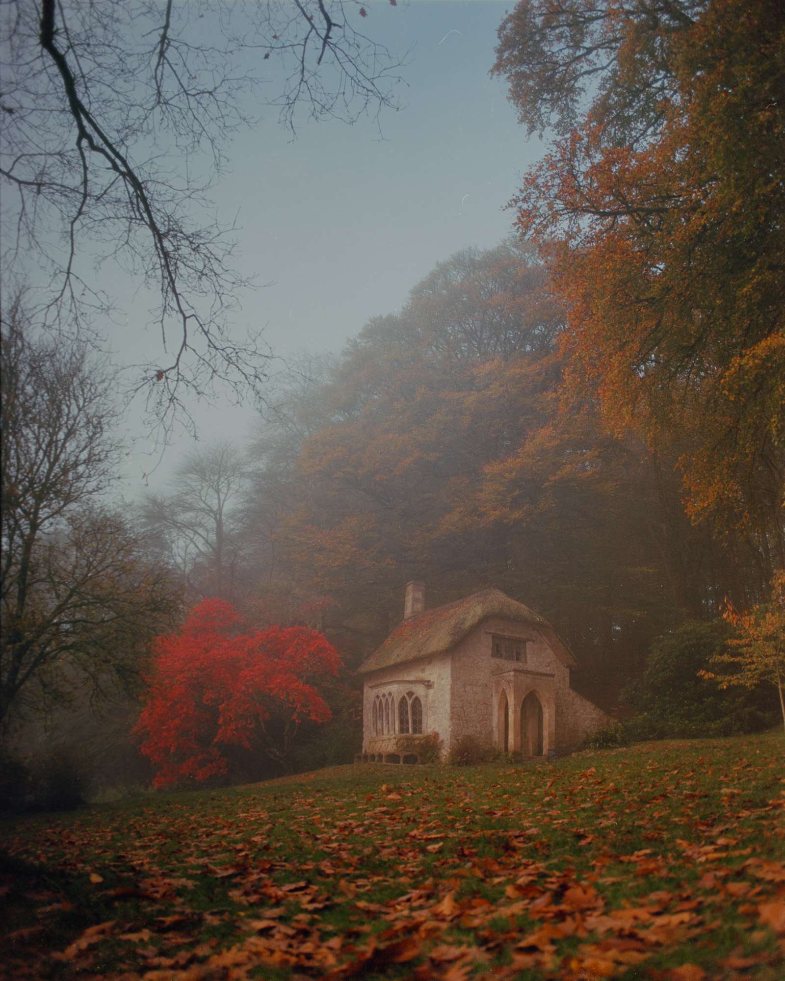 Early morning autumn light at Stourhead landscape garden — Kodak Ektar 100 fine art photography