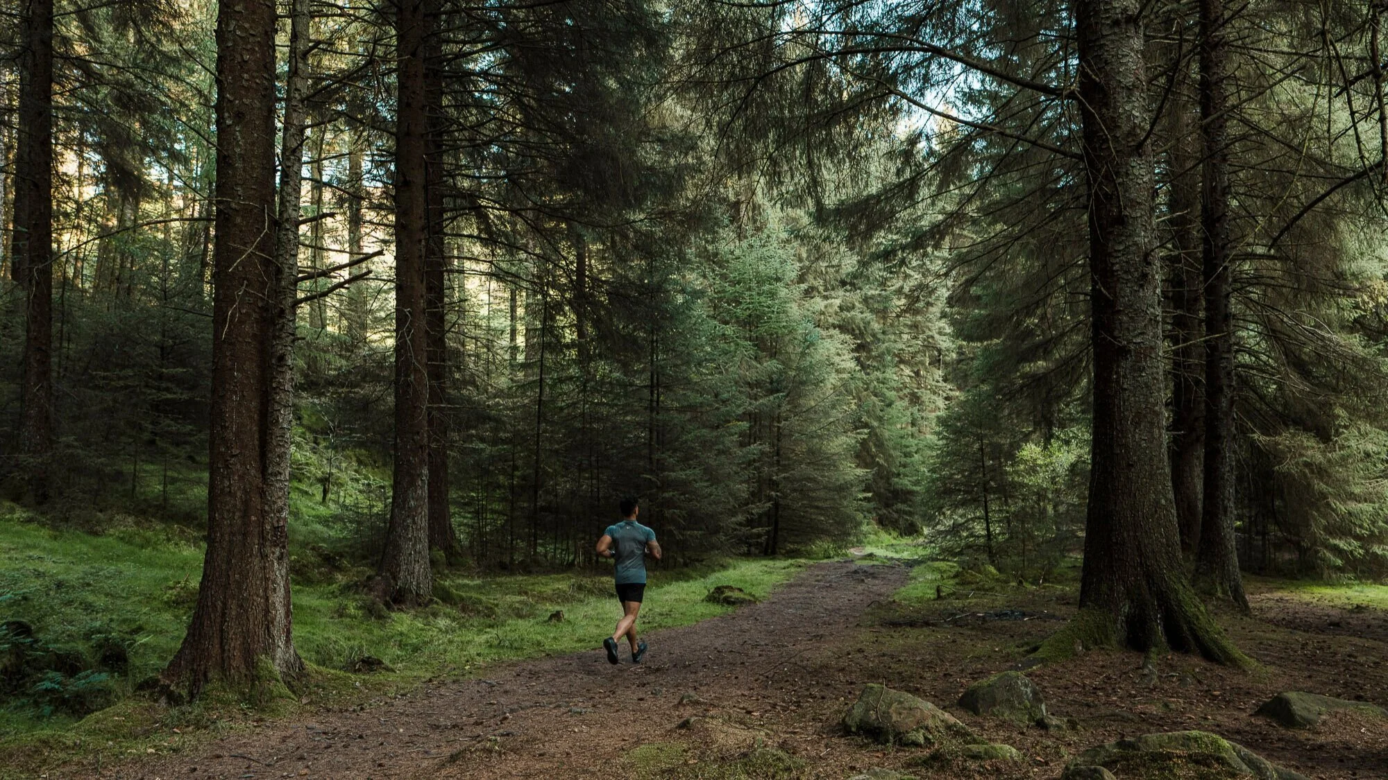 Colter and Roe activewear forest outdoor lifestyle photography