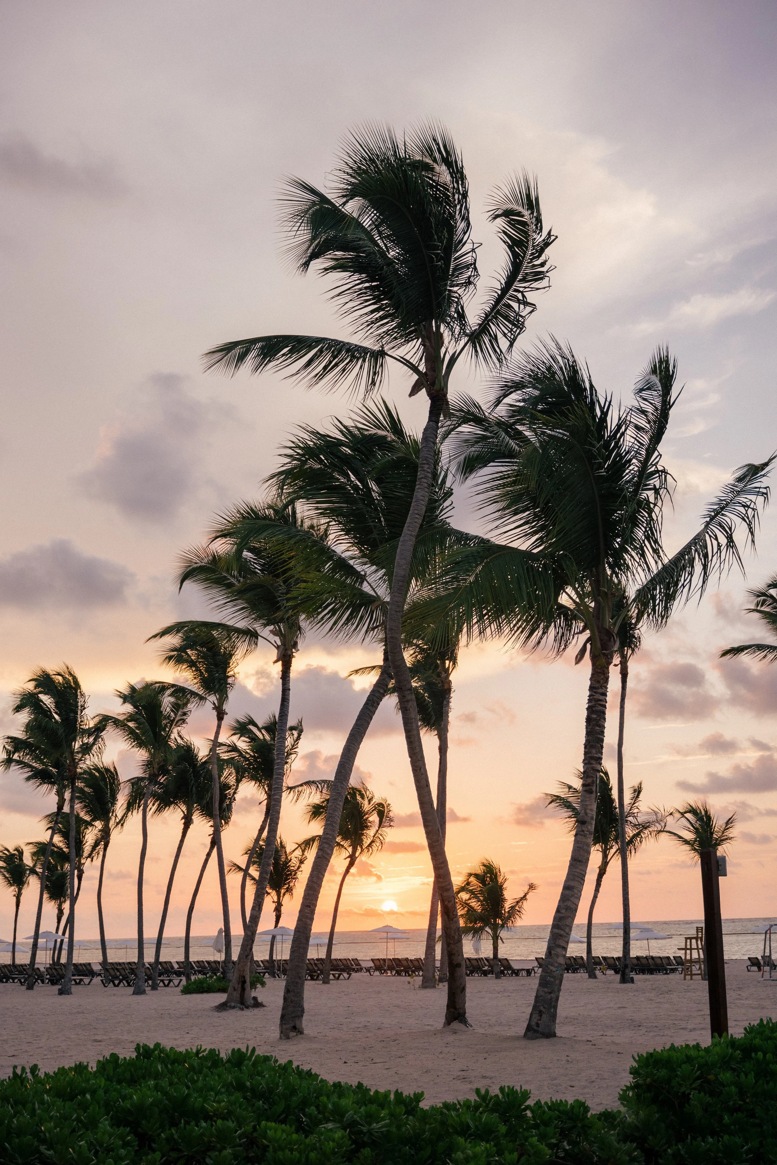 Hyatt Ziva resort spa treatment wellness photography Cap Cana