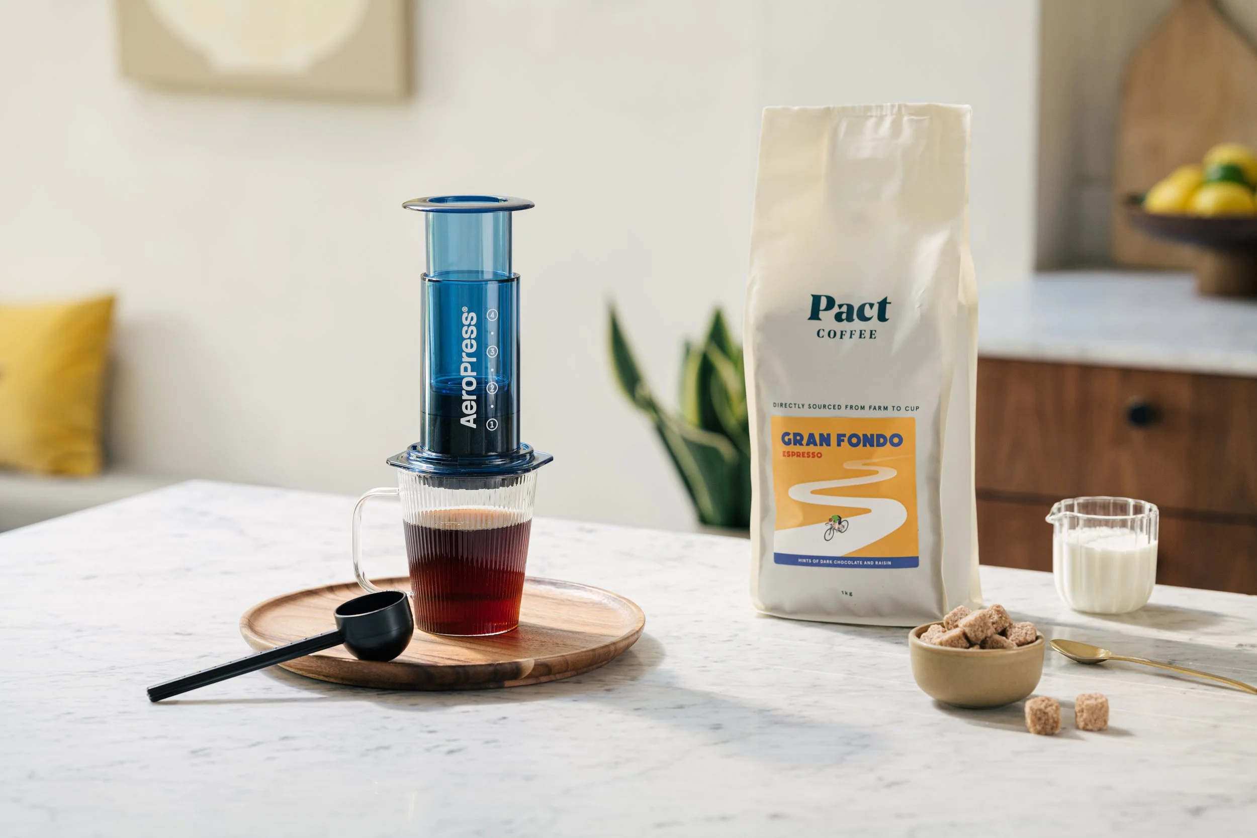 Pact Coffee summer drinks lifestyle campaign photography