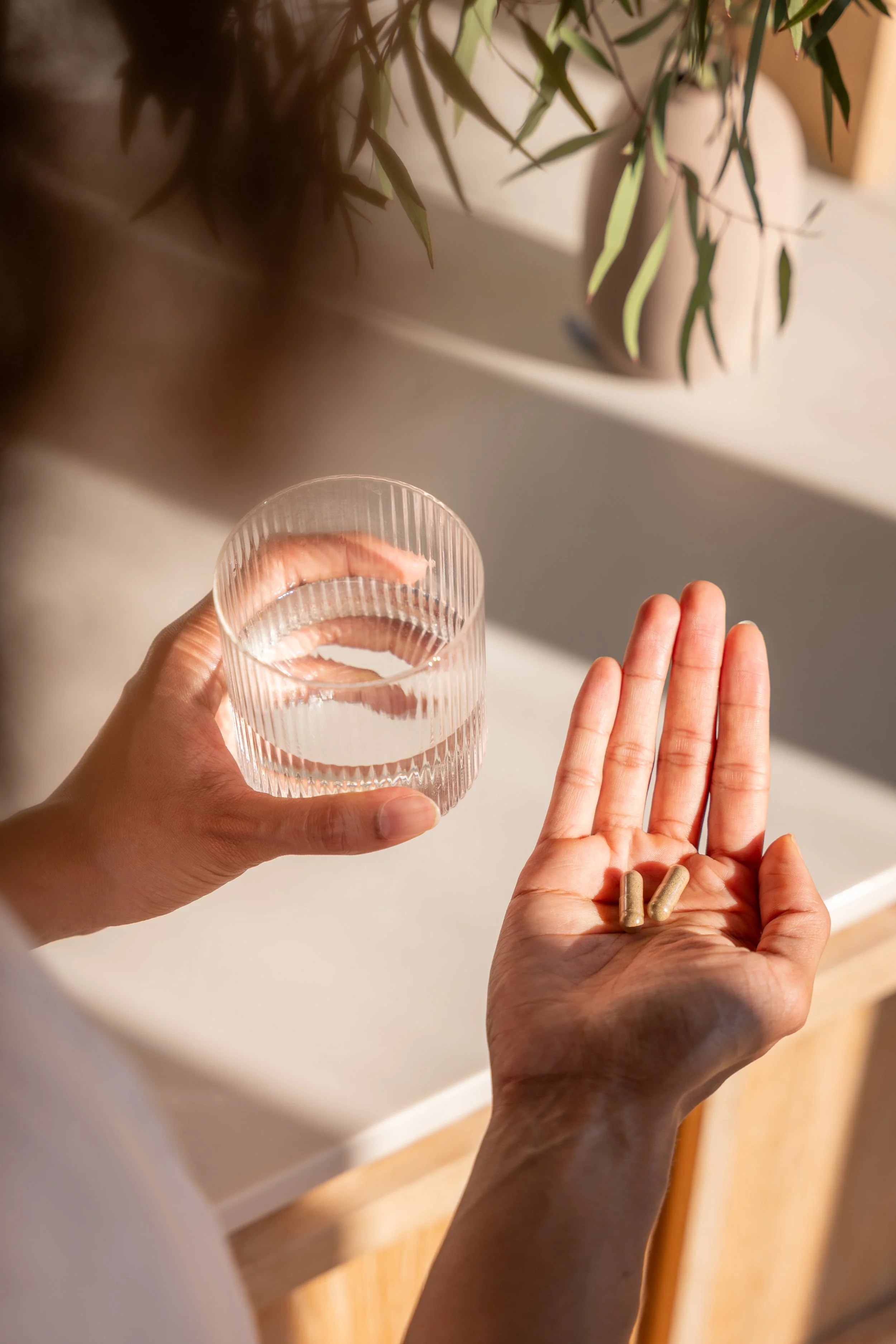 The Herbtender brand photography — model with product