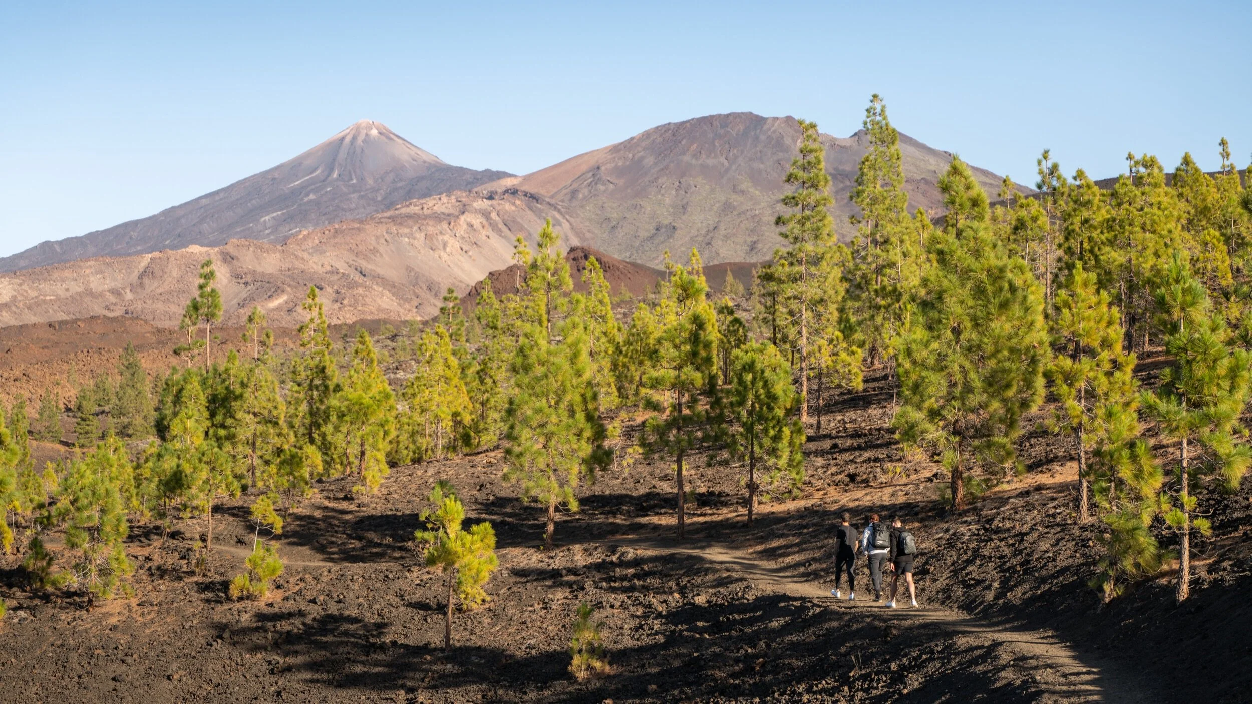 Visit Spain Canary Islands Tenerife travel landscape lifestyle photography